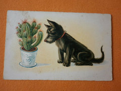 A kutya és a kaktusz