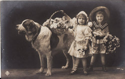 Régi antik kutya gyerek levlap képeslap