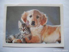 Állatos képeslapok