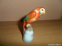 herendi miniatűr papagáj(hibátlan)