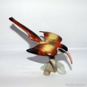 kolibri madár aquincumi porcelán
