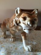 Hatalmas Royal Dux tigris