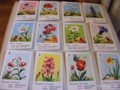 retro virág kvartett gyerek kártya csomag - hiányzik 5 db