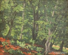 Nagy Dániel Ferenc : "Bükkös erdő"