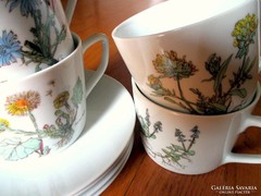 Gyógynövény mintás porcelán teáskészlet (4 csésze+4 tányér)
