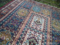 Madaras és Váza mintás meseszép gyapjú szőnyeg 360x250