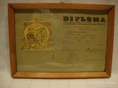Magyar Ebtenyésztők diploma 1970