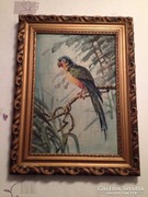 Régi(olaj-farost) festmény: Sándor papagáj