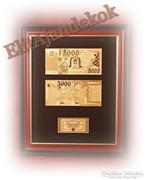 Az új 5000 forintos bankjegy arany köntösben