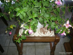 Virágtartó asztal csempelapos