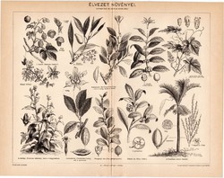 Élvezet növényei, egy színű nyomat 1896, eredeti, antik, komló, kávé, szőlő, dohány, tea, kokacserje