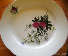 23 cm átm. gyönyörű lapostányérok, 6   XX