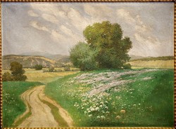 ZORKÓCZY GYULA /1873 - 1932/ : Tájkép,75 x 100 cm
