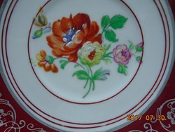 C.Knoll Karlsbad kézzel festett ezüst klasszikus és látványos Meisseni virágmintás teás csésze alát