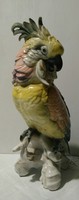 Ens óriás kakadu - káprázatos festéssel