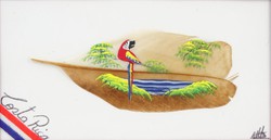 0O285 Jelzett Costa Ricai madártoll festmény