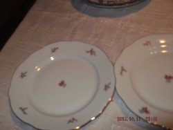 Zsolnay lapos tányér 2 darab