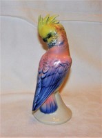 Volkstedt porcelán papagáj / kakadu