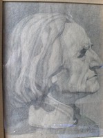 Csodálatos Liszt Ferenc portré