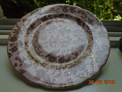 Különleges Rózsaszín mázas aranykontúrozott antik madár-rovar mintás tányér-20,8 cm