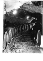 Borászat, szőlészet Vintage fotó 18*25  egy borász felvétele pincekészlet