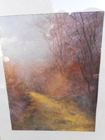 Pósa Ede(1947-)Erdei ösvény.Eredeti festmény garanciával.