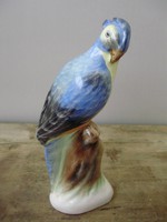 Ritka,gyönyörű festésű bodrogkeresztúri papagáj