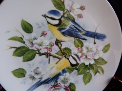 Royal Crofton madaras (cinke) tányér 19.5 cm