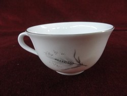 Hertel jacob german bavaria porcelain teacup with gold border on a snow white background. He has.
