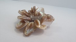 Régi csodás  gyöngyház kagyló bross kitűző