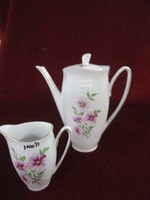 Walbrzych Polish porcelain coffee spout and milk spout. With purple flower pattern. He has!