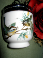 Angol Royal Worcester madaras tojásfőző porcelán