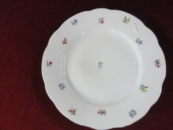 Mz Czechoslovak porcelain flat plate with a colorful flower pattern. He has!