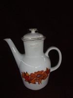 Mz Czechoslovak porcelain - carlsbad - coffee pourer with brown pattern. He has!