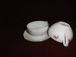 Mz Czechoslovak porcelain antique teacup + saucer. He has!
