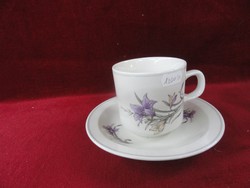 Chinese porcelain mug + placemat, purple floral. He has!