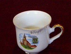 Austrian porcelain commemorative coffee cup with Pöllauberg view. He has!