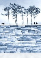 Moira risen: winter is approaching - secrets beyond the wall. Contemporary, signed fine art print, garden raven bricks