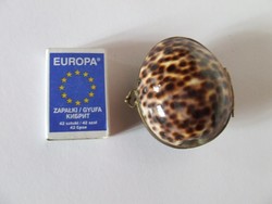 Kagylóból készült mini, miniatűr ékszertartó doboz, ékszerdoboz, kis pénztárca, pici táska