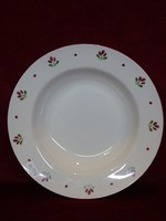 Vario domestic German porcelain deep plate, showcase quality. He has!