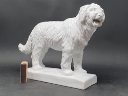 Herendi nagyméretű komondor kutya Maugsch 1931