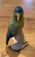 Karl ENS Volkstedt színes madár 