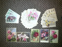 Flower pattern postcards - '40s