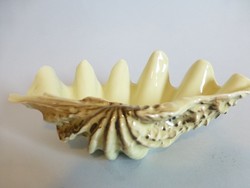 Ritka Hollóházi porcelán kagyló