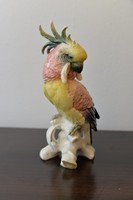 Ens porcelán papagáj kakadú