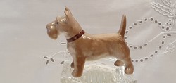 Porcelán, Aquincumi terrier kutya. 6x8 cm.-es, hibátlan, jelzett.