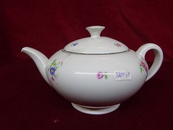 Antique Czech porcelain teapot held in a display case with a small floral pattern. He has!