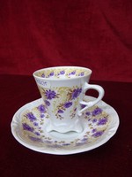 German Thuringian porcelain teacup + saucer. Purple floral. Schierholz plaue German GDR. He has!