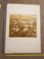 Somlai Vilma: Réti virágok, 51/100, litográfia/szitanyomat