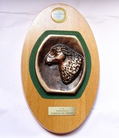 Farmer Expó 2003,Juhtenyésztés II.díj bronz plakett.